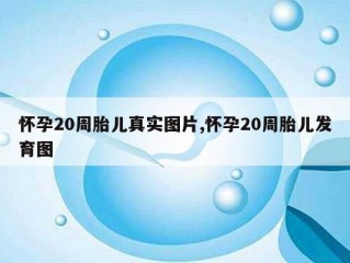 怀孕20周胎儿真实图片,怀孕20周胎儿发育图